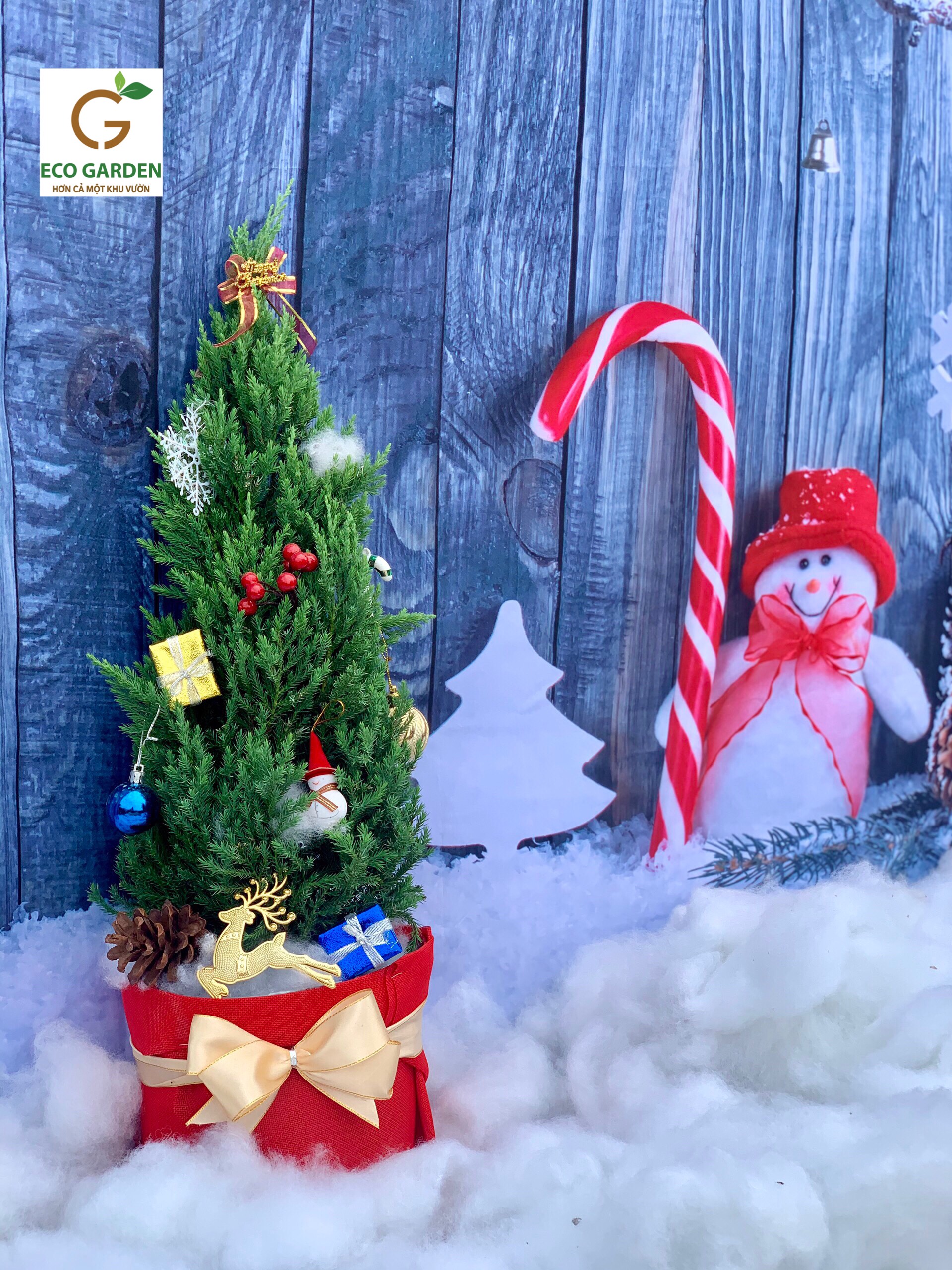 0131c61a14d2e58cbcc3