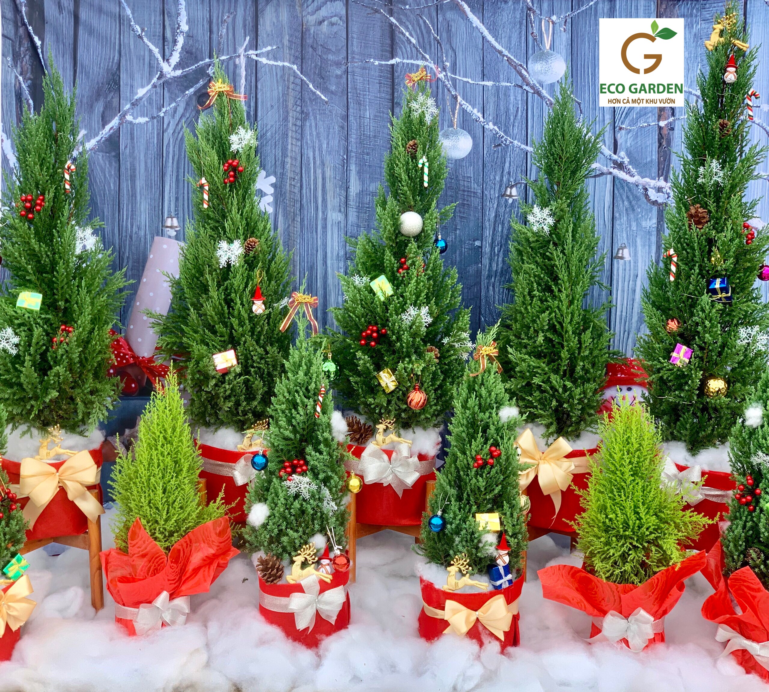 02e3d8030acbfb95a2da