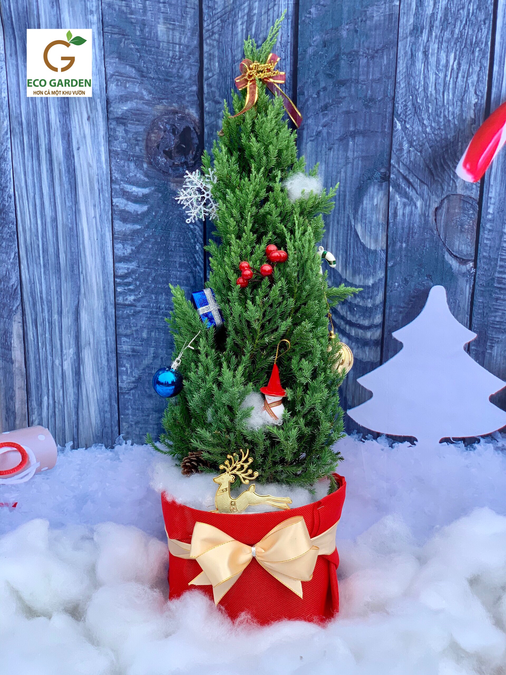 5dfaecda3e12cf4c9603