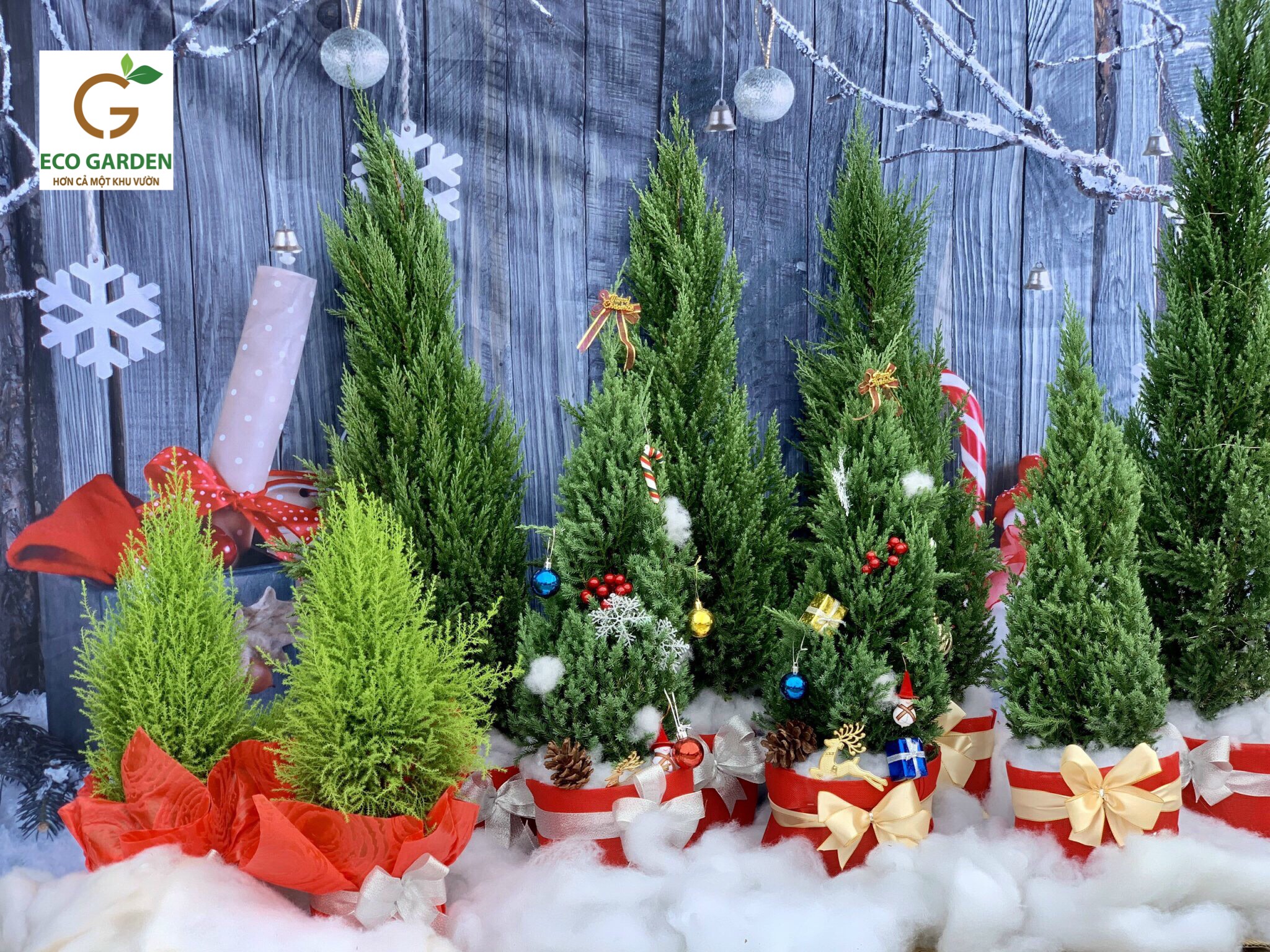 6311b8146adc9b82c2cd