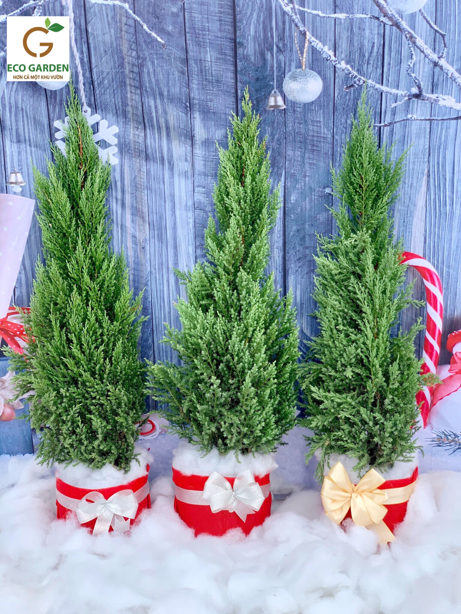 b268ad587f908eced781