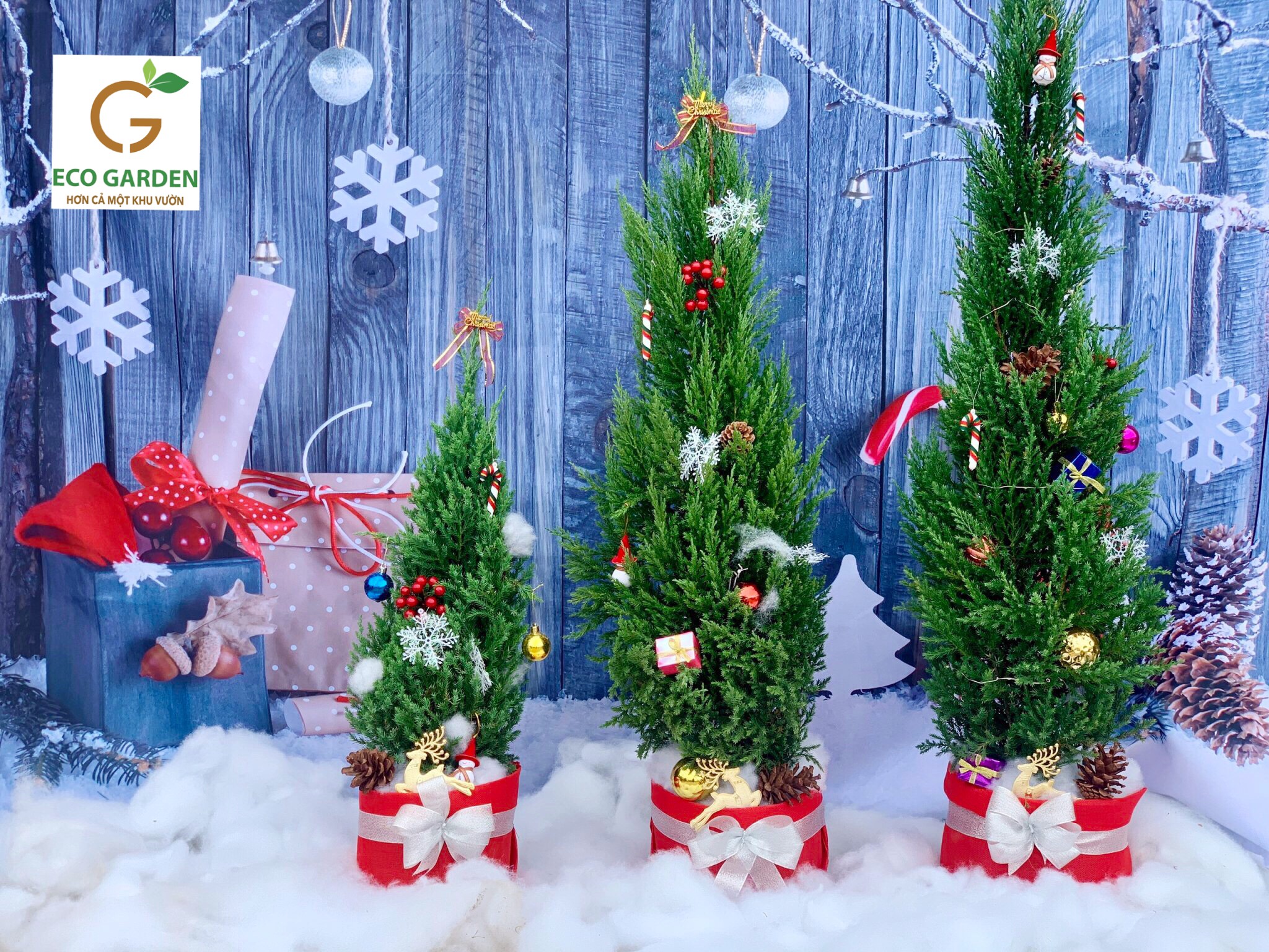 cd86d4ba0672f72cae63