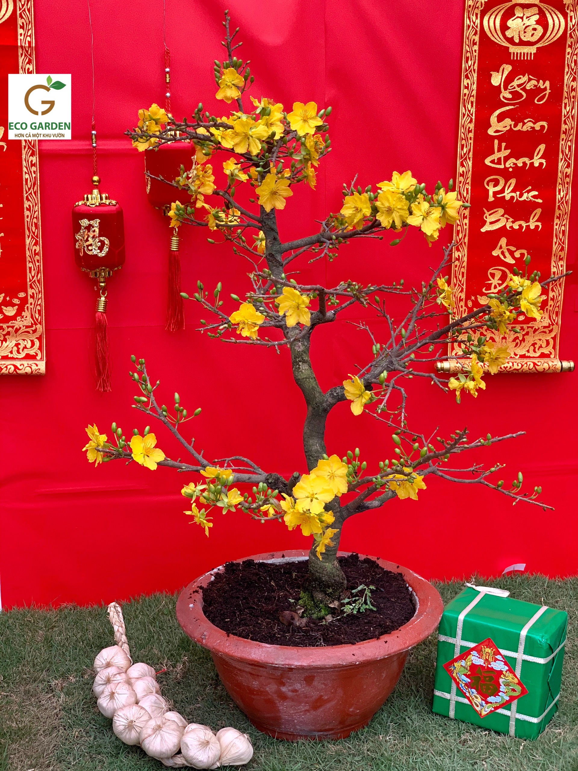 66f5fce9b24b42151b5a