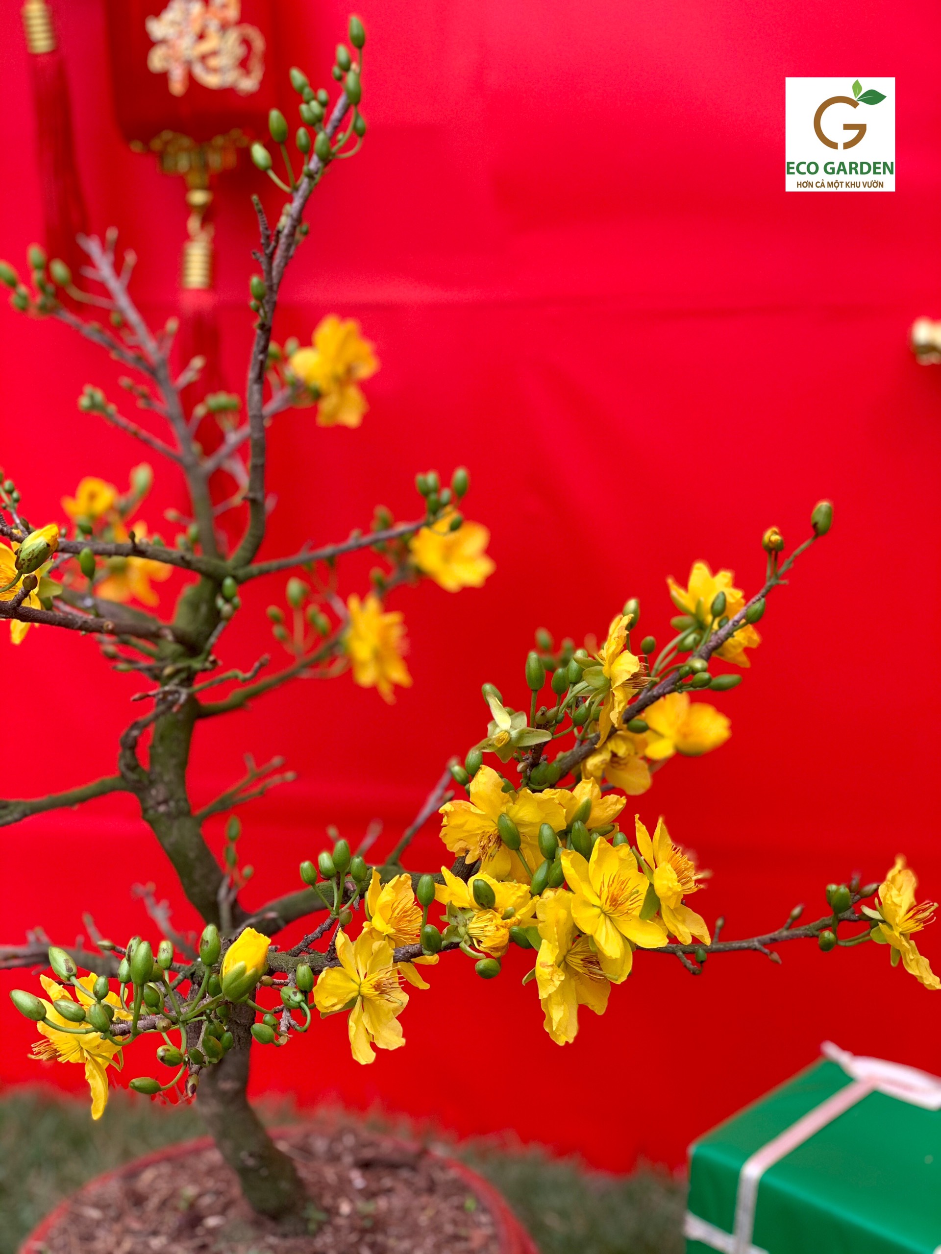 6ed2f5cdbb6f4b31127e