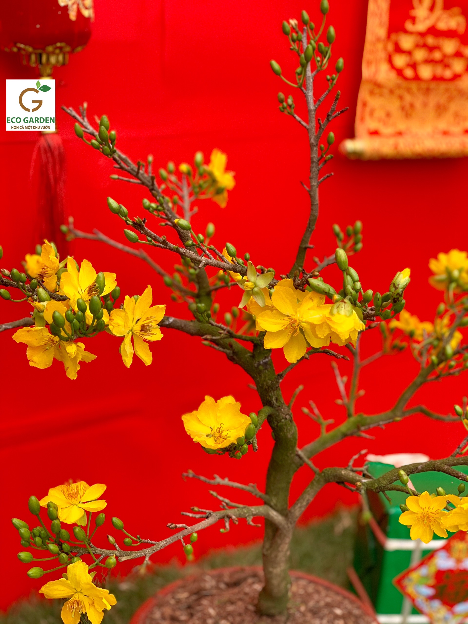 70368d2dc38f33d16a9e