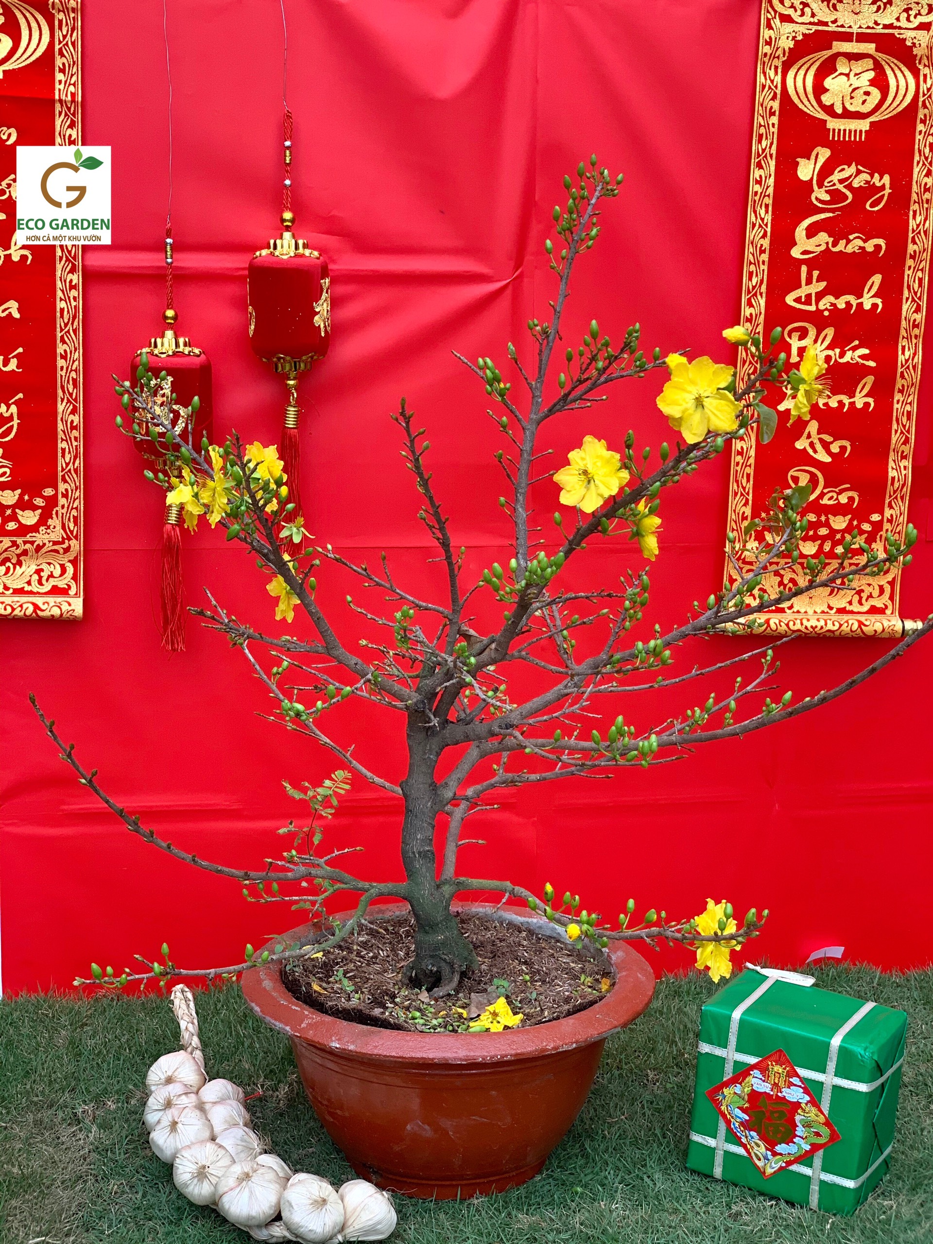 886d506f1ecdee93b7dc