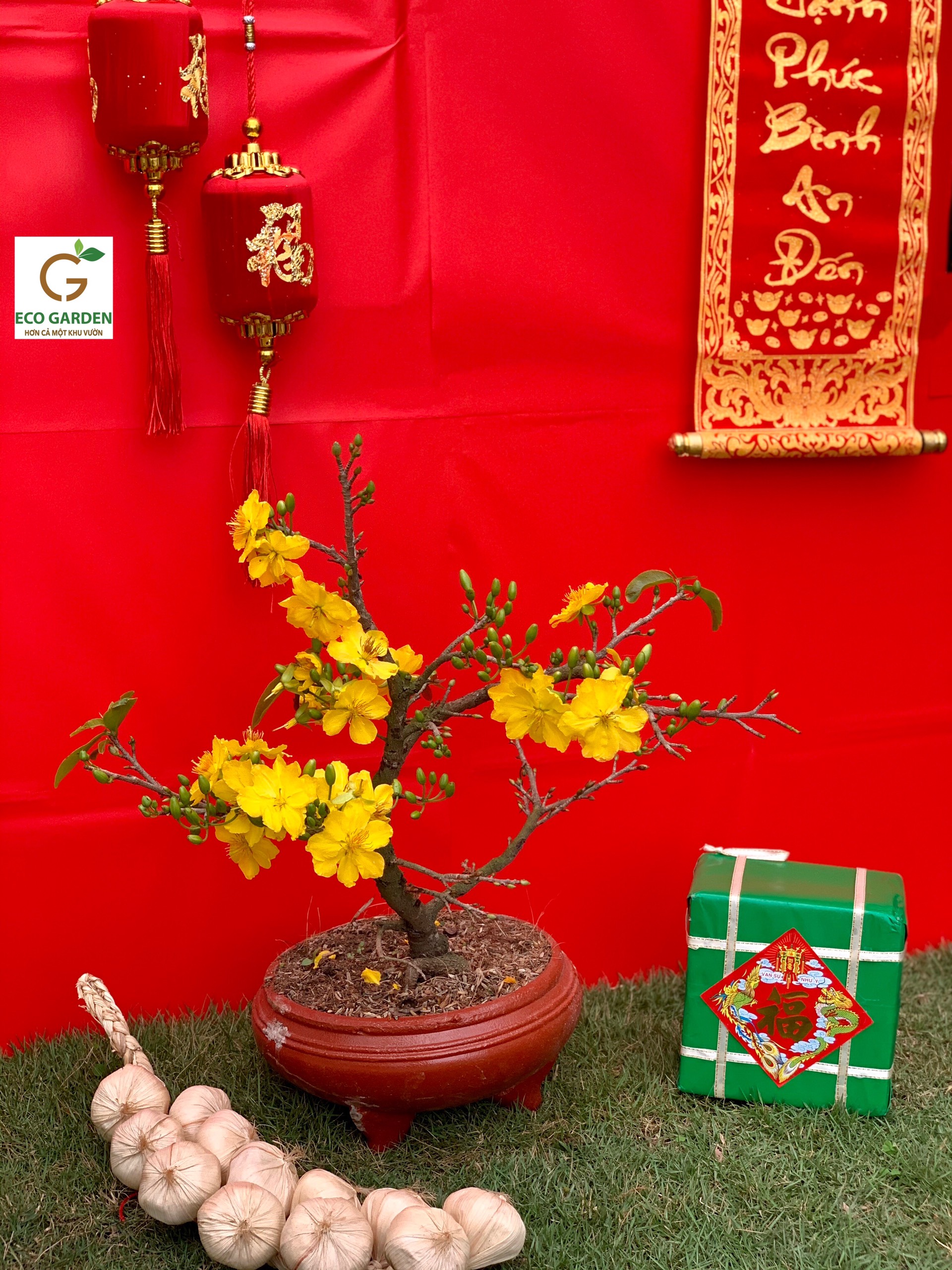 930ed31f9dbd6de334ac