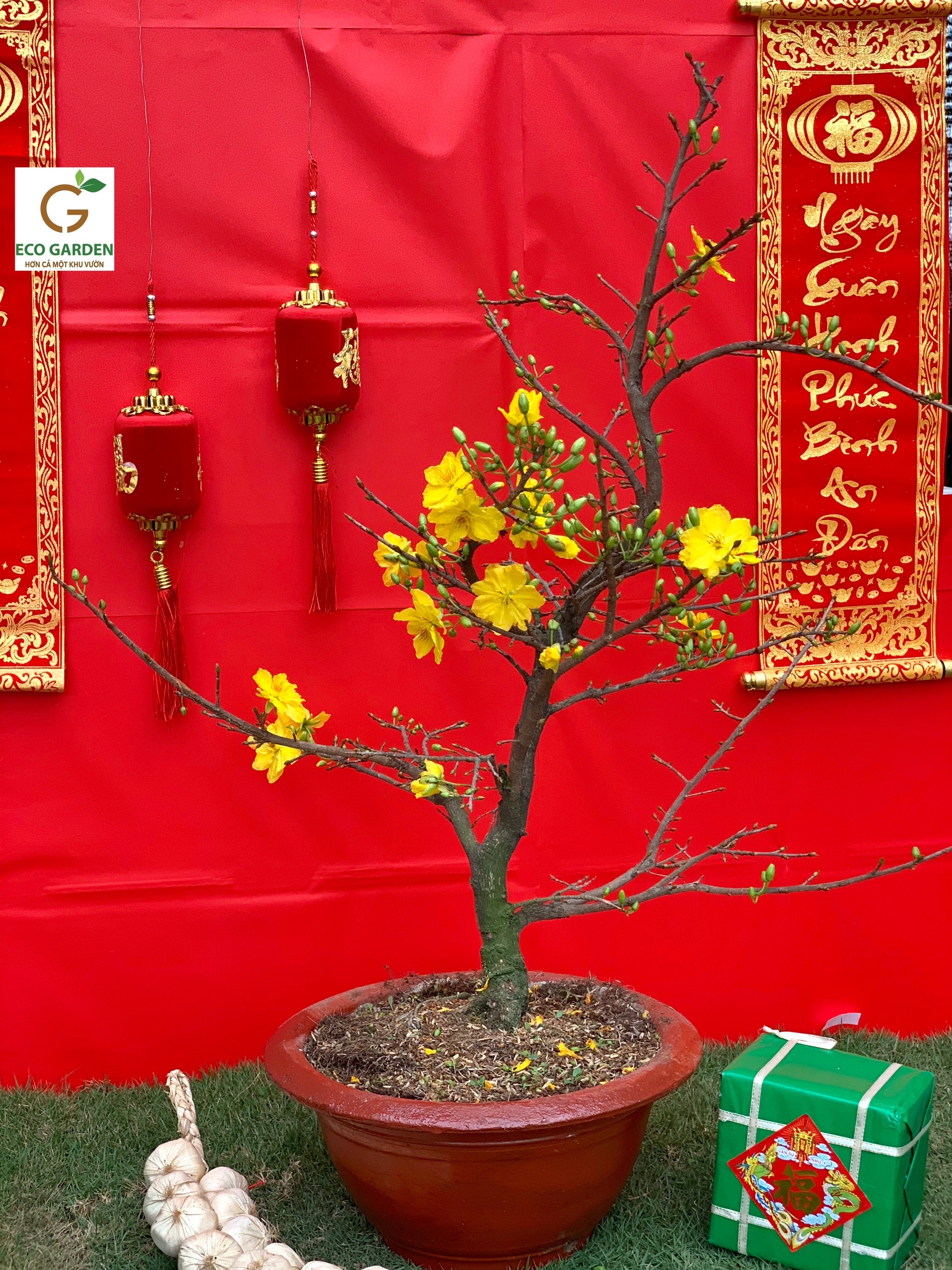 97926f8a2128d1768839