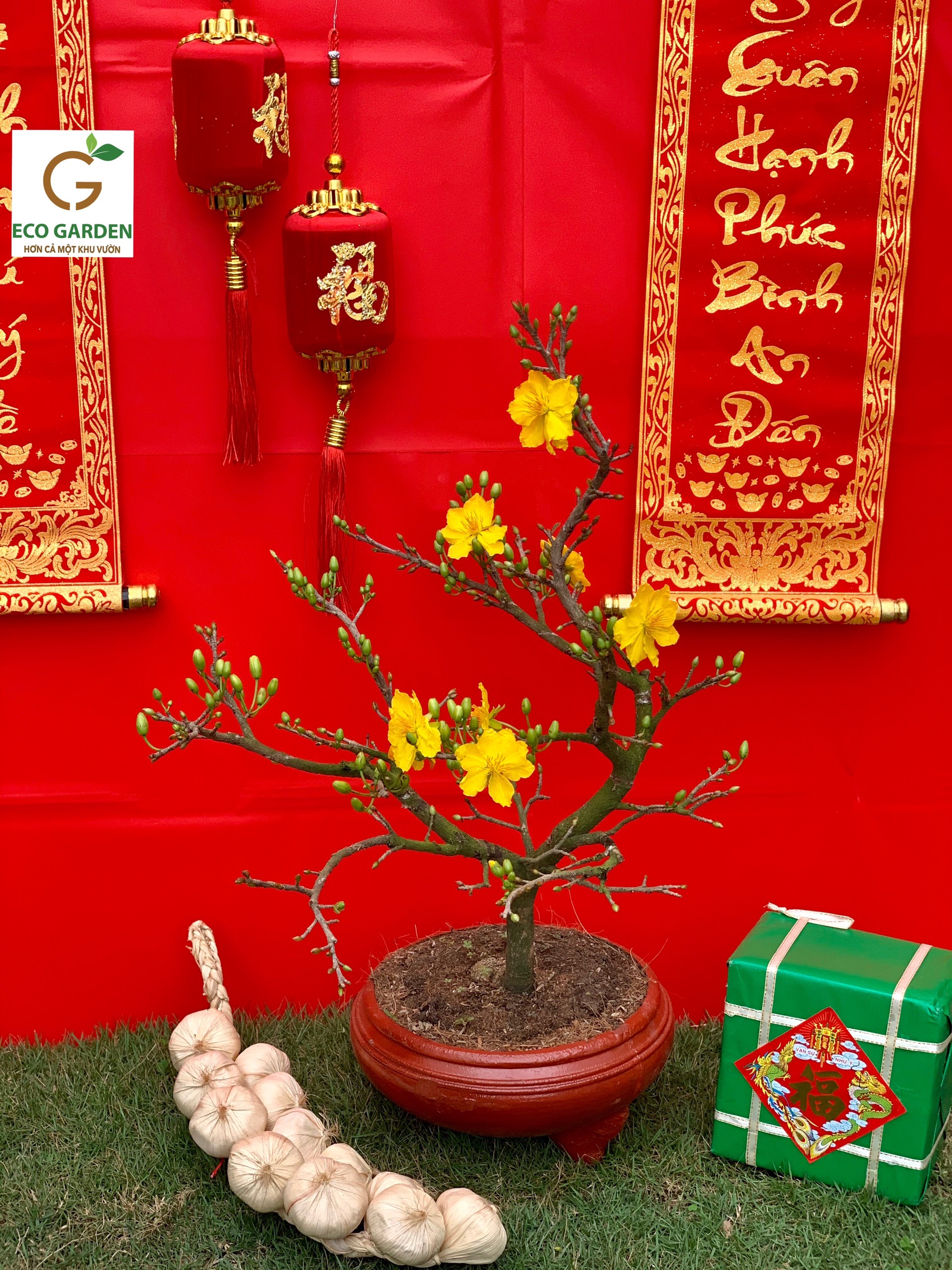 979e59b01712e74cbe03