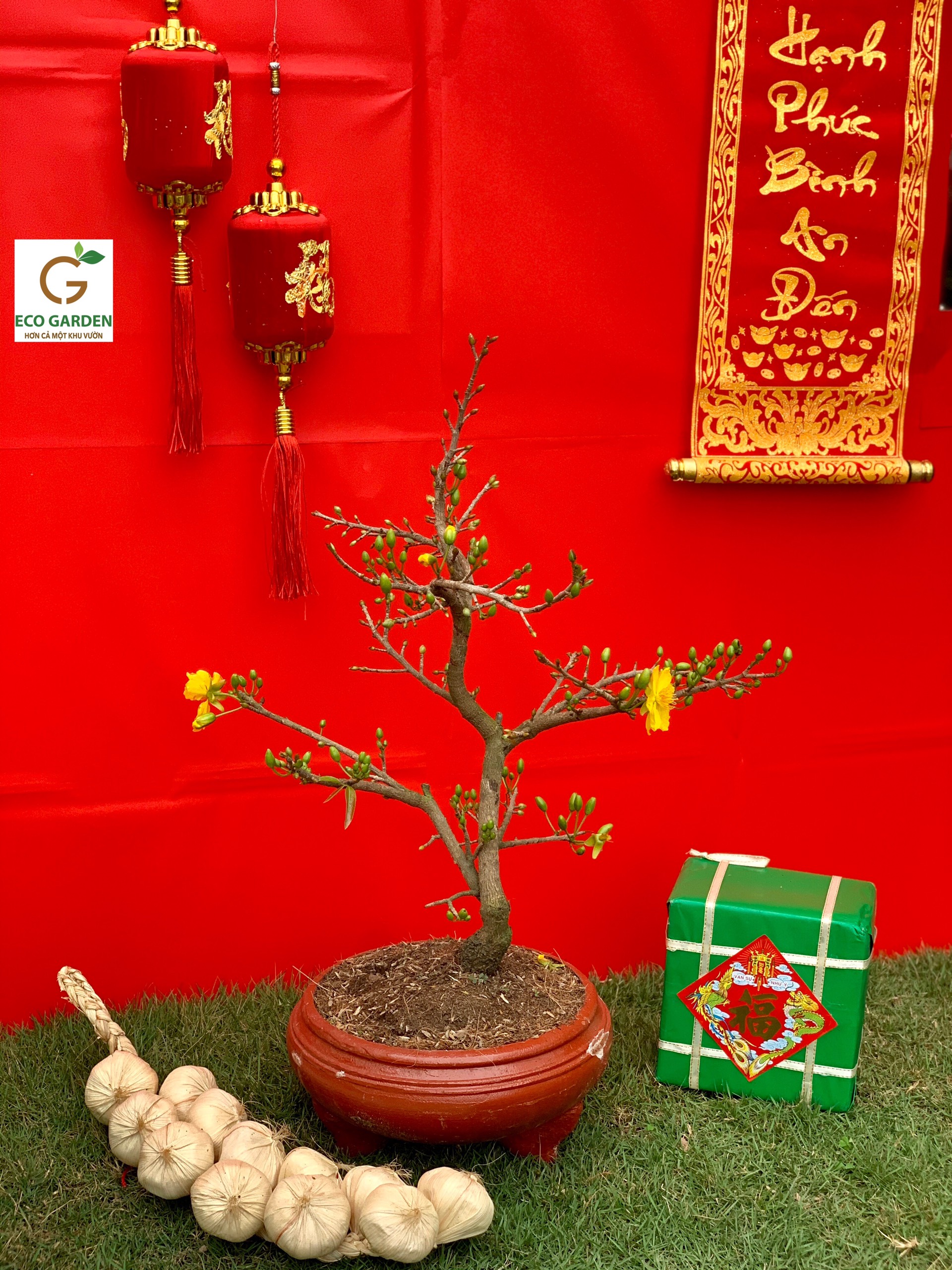 a9b3c0a78e057e5b2714