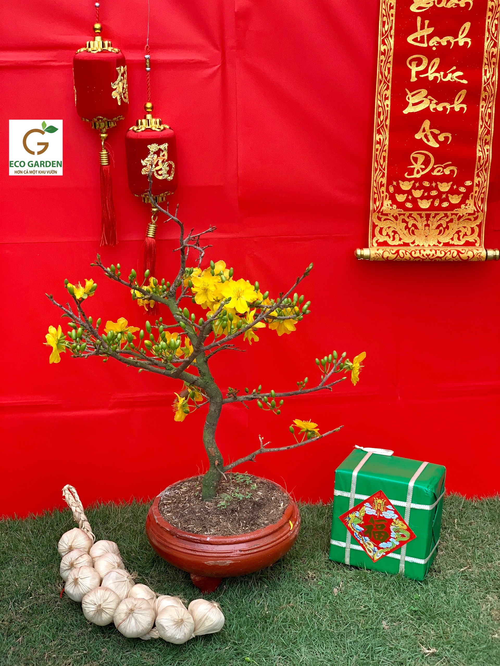 f63f9313ddb12def74a0